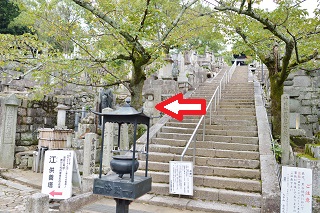 f:id:sarunokinobori:20161010211618j:plain f:id:sarunokinobori:20161010211618j:plain