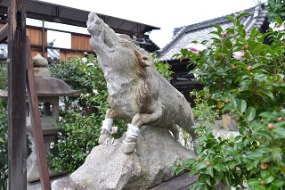 f:id:sarunokinobori:20161018185041j:plain f:id:sarunokinobori:20161018185041j:plain