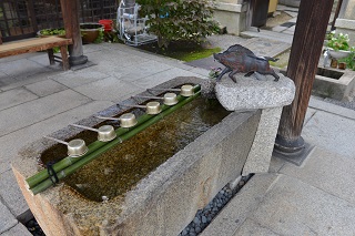 f:id:sarunokinobori:20161018185151j:plain f:id:sarunokinobori:20161018185151j:plain