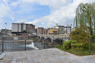 f:id:sarunokinobori:20161102210253j:plain