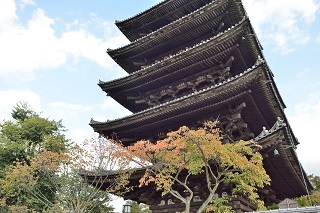 f:id:sarunokinobori:20161107211650j:plain f:id:sarunokinobori:20161107211650j:plain