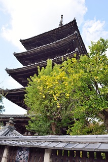 f:id:sarunokinobori:20161107211726j:plain f:id:sarunokinobori:20161107211726j:plain