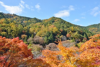 f:id:sarunokinobori:20161116195845j:plain