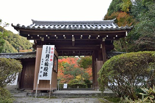 f:id:sarunokinobori:20161119205515j:plain f:id:sarunokinobori:20161119205515j:plain