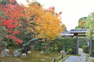 f:id:sarunokinobori:20161119205532j:plain f:id:sarunokinobori:20161119205532j:plain