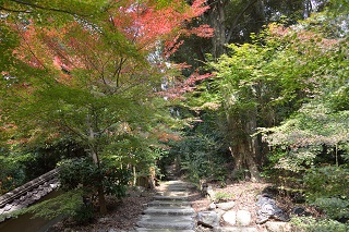 f:id:sarunokinobori:20161119205627j:plain f:id:sarunokinobori:20161119205627j:plain