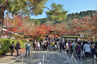 f:id:sarunokinobori:20161123214435j:plain