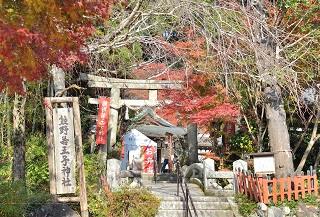 f:id:sarunokinobori:20161124195020j:plain