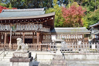 f:id:sarunokinobori:20161124195101j:plain