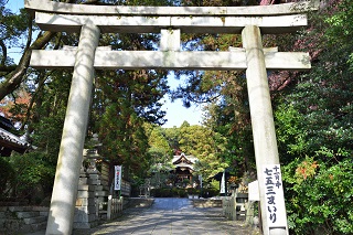 f:id:sarunokinobori:20161125205126j:plain