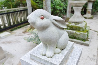 f:id:sarunokinobori:20161125205931j:plain