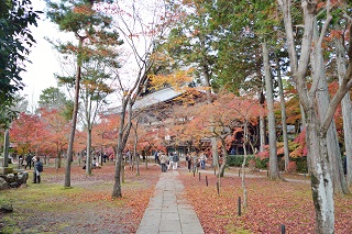 f:id:sarunokinobori:20161125220138j:plain