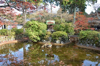 f:id:sarunokinobori:20161125220441j:plain