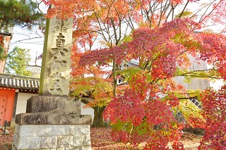 f:id:sarunokinobori:20161125220517j:plain