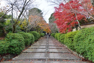 f:id:sarunokinobori:20161126204015j:plain