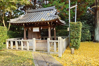 f:id:sarunokinobori:20161126204037j:plain