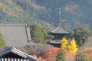 f:id:sarunokinobori:20161126204111j:plain