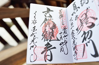 f:id:sarunokinobori:20161203191954j:plain