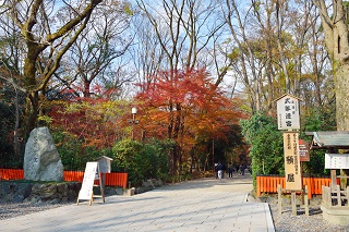 f:id:sarunokinobori:20161210001214j:plain