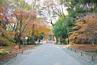 f:id:sarunokinobori:20161210001236j:plain