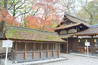 f:id:sarunokinobori:20161210001308j:plain