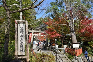 f:id:sarunokinobori:20161231034620j:plain