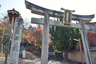 f:id:sarunokinobori:20161231123546j:plain