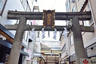 f:id:sarunokinobori:20170103203123j:plain