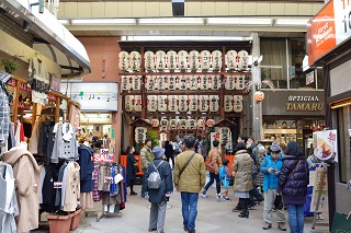 f:id:sarunokinobori:20170103203131j:plain