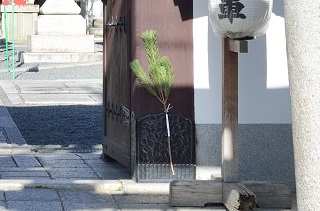 f:id:sarunokinobori:20170108183237j:plain f:id:sarunokinobori:20170108183237j:plain