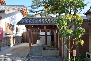 f:id:sarunokinobori:20170108183244j:plain f:id:sarunokinobori:20170108183244j:plain