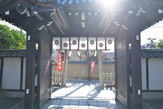 f:id:sarunokinobori:20170108183558j:plain f:id:sarunokinobori:20170108183558j:plain