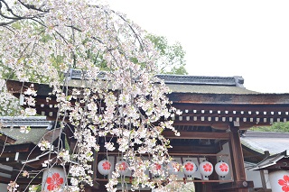 f:id:sarunokinobori:20170111012027j:plain