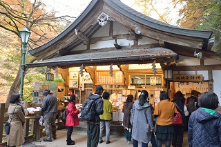 f:id:sarunokinobori:20170111201611j:plain