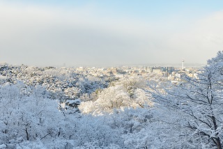 f:id:sarunokinobori:20170119182837j:plain f:id:sarunokinobori:20170119182837j:plain