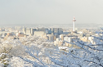 f:id:sarunokinobori:20170119182901j:plain f:id:sarunokinobori:20170119182901j:plain