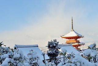 f:id:sarunokinobori:20170119183129j:plain f:id:sarunokinobori:20170119183129j:plain