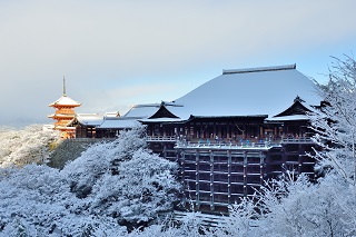 f:id:sarunokinobori:20170119183155j:plain f:id:sarunokinobori:20170119183155j:plain