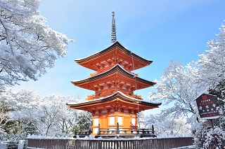 f:id:sarunokinobori:20170119183232j:plain f:id:sarunokinobori:20170119183232j:plain