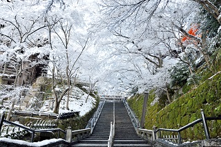 f:id:sarunokinobori:20170119183344j:plain f:id:sarunokinobori:20170119183344j:plain