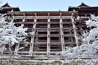 f:id:sarunokinobori:20170119183351j:plain f:id:sarunokinobori:20170119183351j:plain