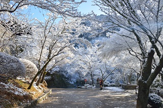 f:id:sarunokinobori:20170119183415j:plain f:id:sarunokinobori:20170119183415j:plain