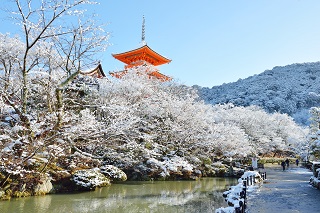 f:id:sarunokinobori:20170119183439j:plain f:id:sarunokinobori:20170119183439j:plain