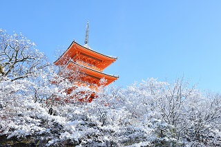 f:id:sarunokinobori:20170119183447j:plain f:id:sarunokinobori:20170119183447j:plain