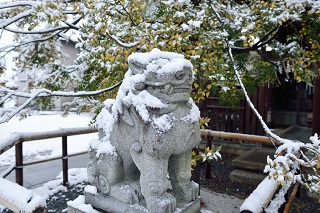 f:id:sarunokinobori:20170120183027j:plain f:id:sarunokinobori:20170120183027j:plain