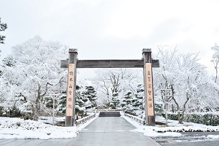 f:id:sarunokinobori:20170121125037j:plain f:id:sarunokinobori:20170121125037j:plain