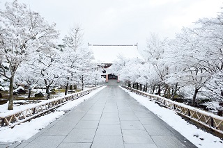 f:id:sarunokinobori:20170121125100j:plain f:id:sarunokinobori:20170121125100j:plain