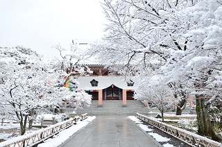 f:id:sarunokinobori:20170121125110j:plain f:id:sarunokinobori:20170121125110j:plain