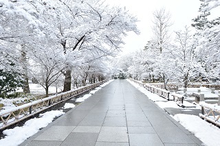 f:id:sarunokinobori:20170121125121j:plain f:id:sarunokinobori:20170121125121j:plain