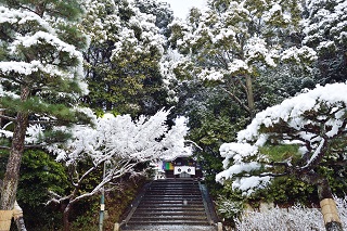 f:id:sarunokinobori:20170121125134j:plain f:id:sarunokinobori:20170121125134j:plain